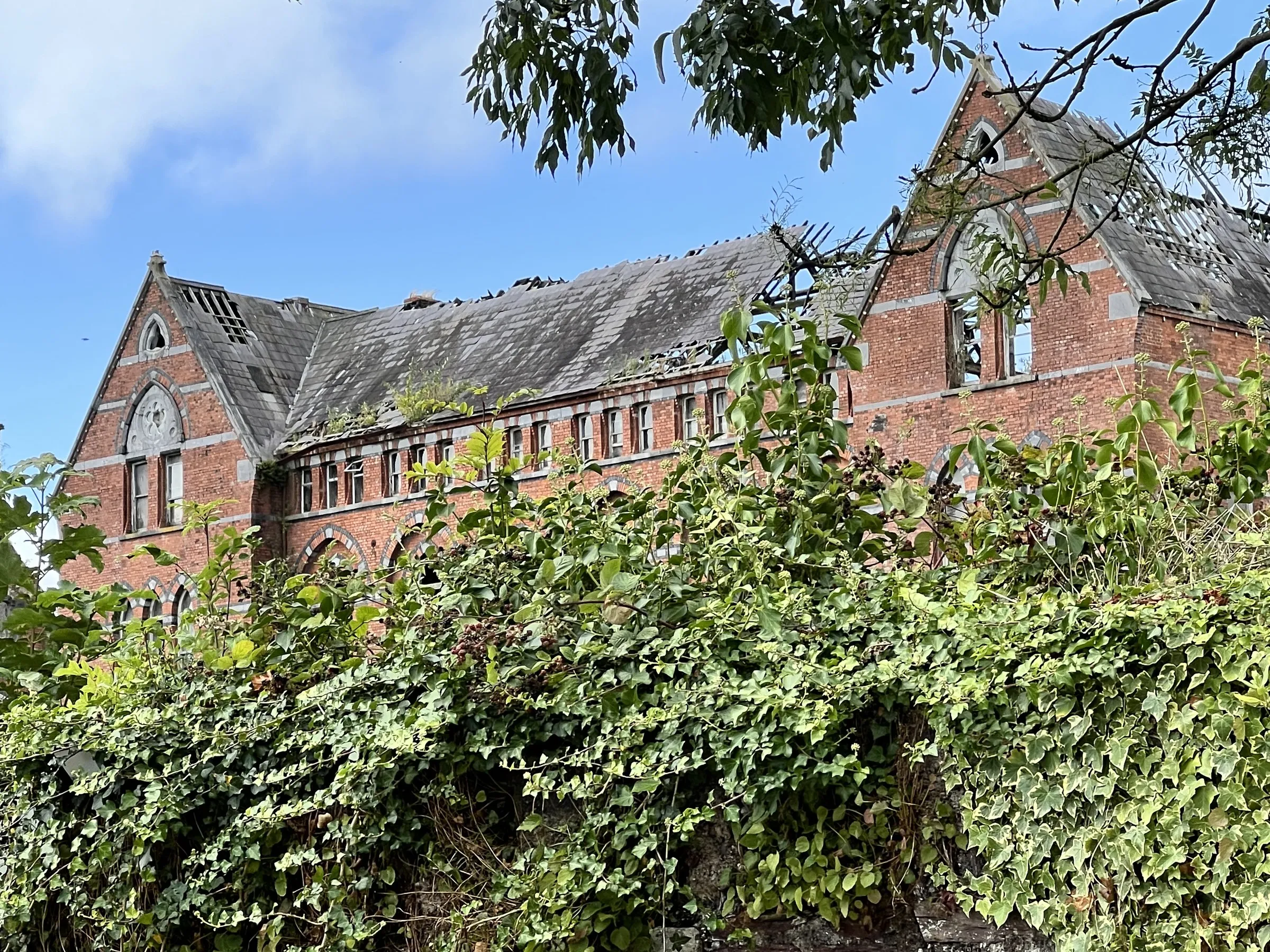 A gothic red-brick range, ivy grown over its lower storey